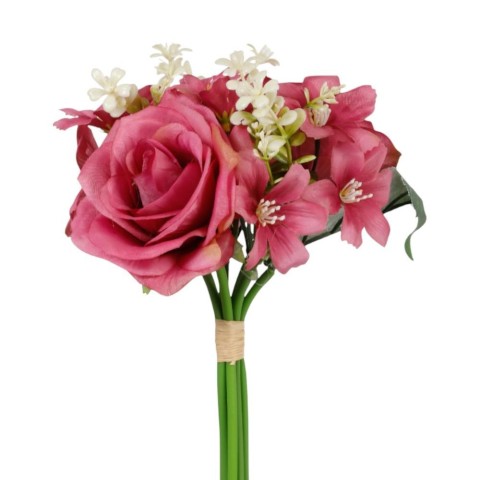 BUNDLE ROSEORTENSIA CM.28 BEAUTY